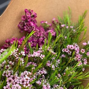 Meet your Posher, Racquel